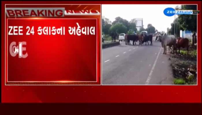 After the report, the system woke up successfully in Surat, Watch