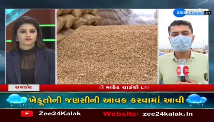 In Saurashtra, reversal in weather, Janasi's income stopped at Rajkot Bedi Market Yard