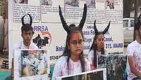 RRSA દ્વારા ચામડાનો વિરોધ: અનોખા અભિયાનની આણંદથી શરૂઆત થઇ