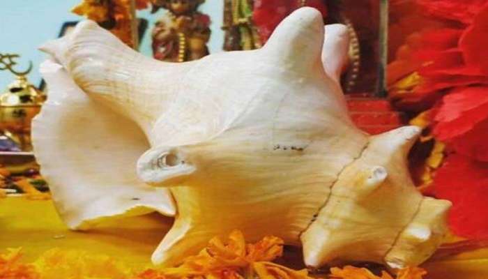 ઘરમાં કામધેનુ શંખ રાખવાથી પૈસાની નહીં થાય કમી, જાણો બીજા કેટલાક શંખના ફાયદા