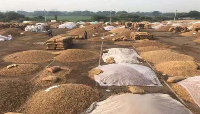 Gujarat Rain: વરસાદની આગાહીના પગલે રાજકોટ બેડી યાર્ડનો મહત્વનો નિર્ણય, પાટણમાં ખેડૂતોને અપાઈ ખાસ સલાહ