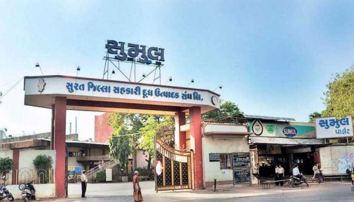 Sumul Dairy Controversy માં માનસિંગ પટેલ માટે 'હાથે કરેલા હૈયે વાગ્યા જેવો ઘાટ', તપાસનો રેલો સુરત પહોંચ્યો, ખુલાસો માંગ્યો
