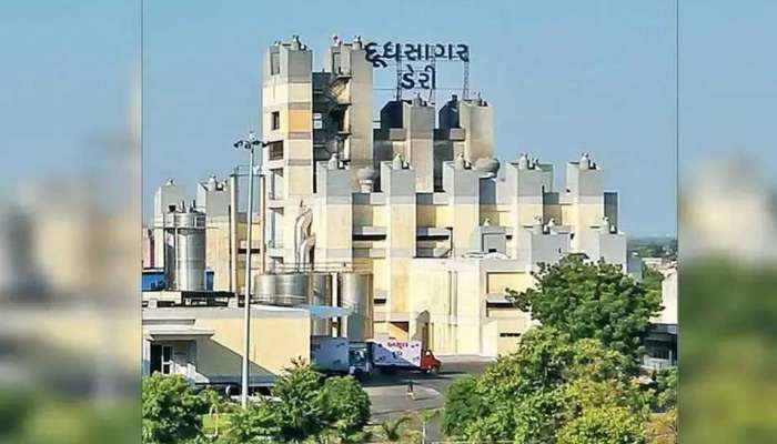 Mehsana ની દૂધસાગર ડેરી હવેથી અમૂલ બ્રાન્ડ સાથે શાકભાજીનું વેંચાણ કરશે, ખેડૂતોને હિતમાં લેવાયો મોટો નિર્ણય