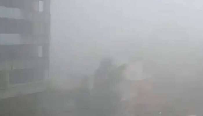 ફરી એકવાર ગુજરાત થથરશે: હવામાન વિભાગે કોલ્ડવેવની આગાહી કરી, નાગરિકોને ખાસ અપીલ