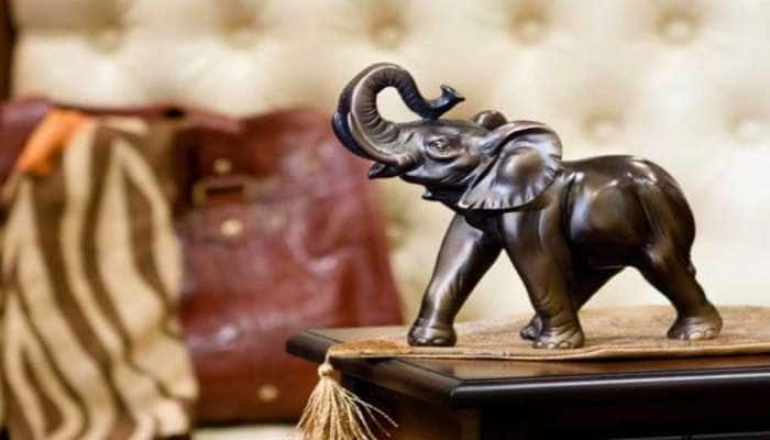 Feng Shui Tips: ફેંગશુઈ હાથી ઘરમાં રાખવાના છે ઘણા ફાયદા, ધન અને સમૃદ્ધિનો વરસાદ થશે