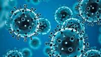 GUJARAT CORONA UPDATE: નવા 367 કેસ, 902 રિકવર થયા, 4 નાગરિકોનાં મોત