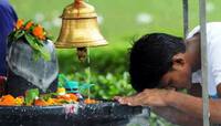 મહાશિવરાત્રિ પર કરો આ ઉપાય, મળશે ઈચ્છિત નોકરીનું વરદાન; ધન પ્રાપ્તિનો યોગ