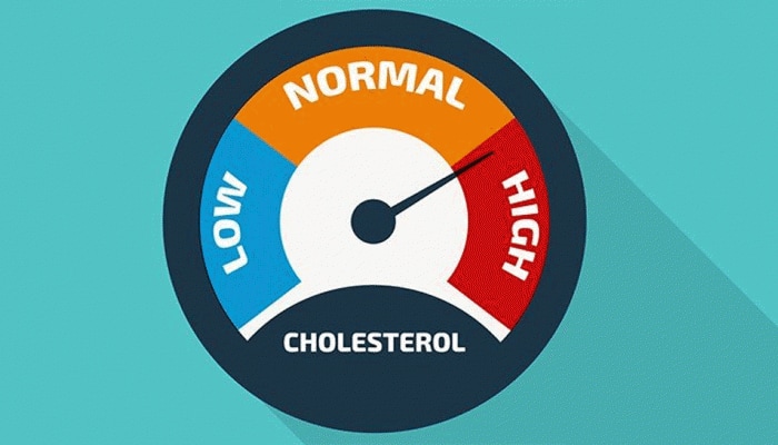 Cholesterol Increase: જાણો કૉલેસ્ટ્રોલ વધવાથી શરીર આપે છે કેટલાક સંકેત