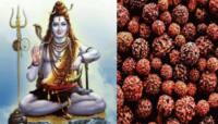 મહાશિવરાત્રીના પવિત્ર પર્વ પણ જાણો કેવી રીતે થઈ રુદ્રાક્ષની ઉત્પત્તિ