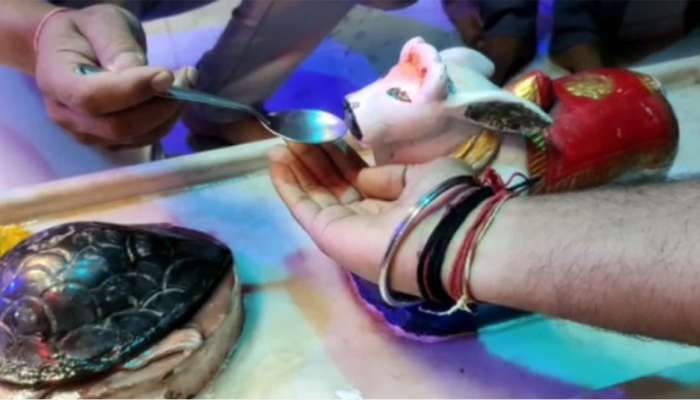 ગુજરાતનું ભાગ્યે જ કોઈમંદિર બાકી હશે જ્યાં શિવજી પાણી પીતા નહિ હોય, હવે તો નંદી અને કાચબો પણ પાણી પીવા લાગ્યો