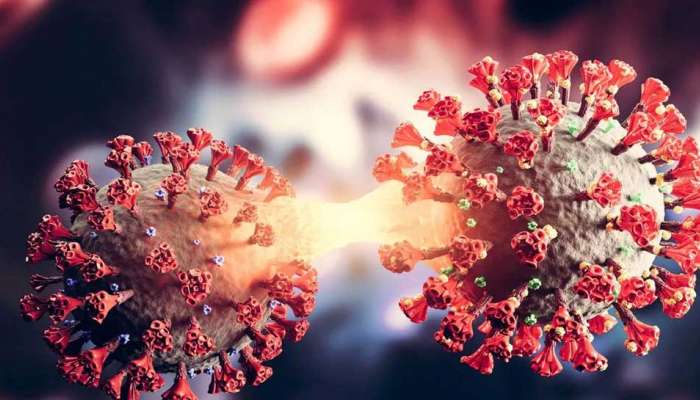 New Corona Virus made up of omicron and delta: વૈજ્ઞાનિકોનું કહેવું છે કે  ડેલ્ટા ઔપ ઓમિક્રોનથી બનેલો નવો વાયરસ કેટલો ખતરનાક છે. તેને લઈને ઘણા અભ્યાસ  ચાલી રહ્યા ...
