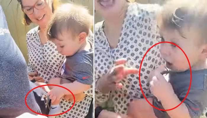 જીવતી ગરોળી પકડીને ખાવા લાગ્યો છોકરો, માતાએ પાડી બૂમ, 4 કરોડ લોકોએ જોયો Video