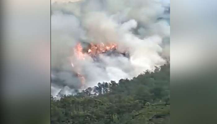 China Plane Crash: ચીનમાં મોટી વિમાન દુર્ઘટના, 132 મુસાફરોને લઈને જતું બોઈંગ 737 પ્લેન ક્રેશ