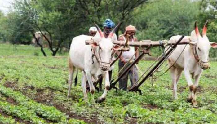 પ્રાકૃતિક પાઠશાળા: જાણો શું છે પ્રાકૃતિક ખેતીનો ઉદ્દેશ