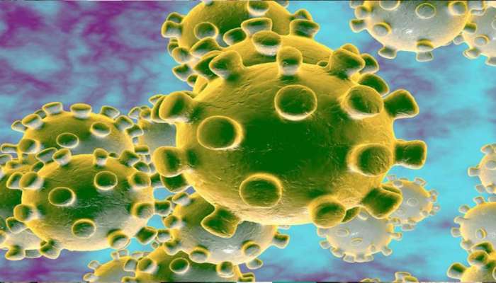 GUJARAT CORONA UPDATE: ગઈકાલ કરતા આજે નવા કેસ વધ્યા, 37 રિકવર થયા, એક પણ મોત નહી