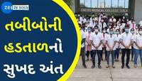 આ મુદ્દાઓ પર સરકાર અને ડોક્ટર્સ વચ્ચે થયું સમાધાન, આખરે ઘીના ઠામમાં ઘી ઢોળાયું