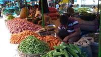 Retail Inflation : સામાન્ય લોકોને વધુ એક ઝટકો, મોંઘવારીએ તોડ્યો 17 મહિનાનો રેકોર્ડ