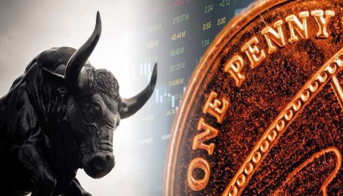 ગજબનું રિટર્ન આપતો શેર.... એક વર્ષમાં 50 હજારનું રોકાણ બની ગયું 1.11 કરોડ