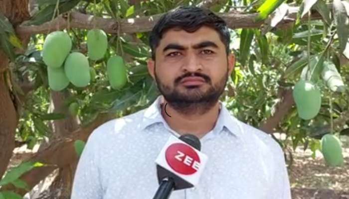 ગુજરાતના ખેડૂતે કોઠાસૂઝથી પ્રાકૃતિક ખેતી કરી, 100 વીઘા જમીનમાં વીધા દીઠ કરે છે...