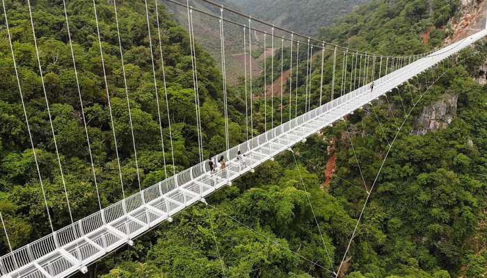 White Dragon Bridge: આ છે દુનિયાનો સૌથી લાંબો બ્રિજ, ઉપરથી નીચે જોશો તો, શ્વાસ થઈ જશે અધ્ધર...