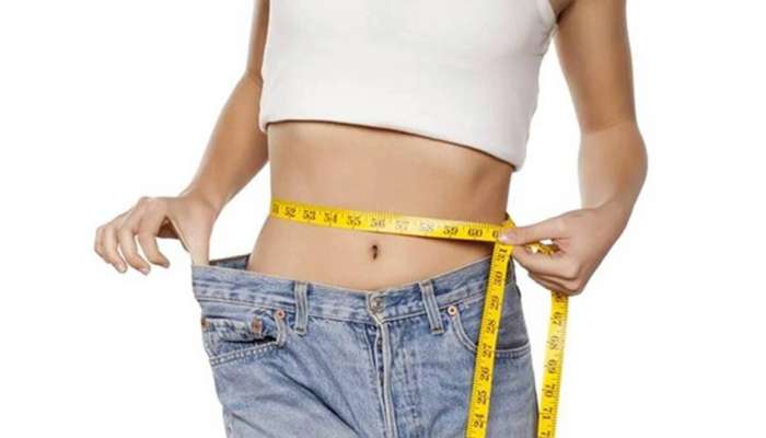 Weight Loss Food: આ વસ્તુને તમારા ડાયટમાં કરો સામેલ, વજન પણ ઘટશે અને કોલેસ્ટ્રોલ લેવલ રહેશે કંટ્રોલમાં