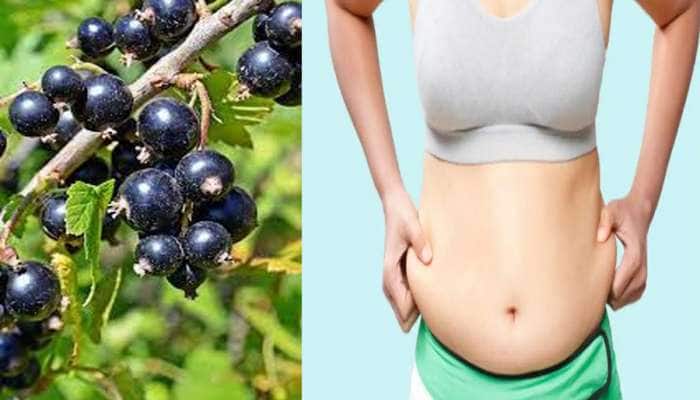 Belly Fat Loss: કાળા રંગનું આ ફળ તમારી જિદંગીને બનાવી દેશે રંગીન! ઝટપટ ઘટાડી આપશે વજન Belly Fat Loss: કાળા રંગનું આ ફળ તમારી જિદંગીને બનાવી દેશે રંગીન! ઝટપટ ઘટાડી આપશે વજન