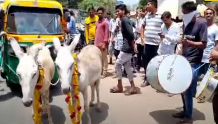 અનોખું વિરોધ પ્રદર્શન: આણંદમાં બેન્ડ વાજા સાથે ગધેડાઓ પાસે રીક્ષા ખેંચાવી, શહેરમાં ચકચાર અનોખું વિરોધ પ્રદર્શન: આણંદમાં બેન્ડ વાજા સાથે ગધેડાઓ પાસે રીક્ષા ખેંચાવી, શહેરમાં ચકચાર
