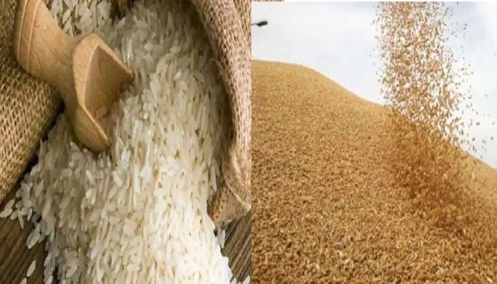 Global Food Crisis: રશિયા-યુક્રેન યુદ્ધ બન્યું વૈશ્વિક ખાદ્ય સંકટનું કારણ, ઘણા દેશો પર દુકાળનો ખતરો, યુએનની ચેતવણી Global Food Crisis: રશિયા-યુક્રેન યુદ્ધ બન્યું વૈશ્વિક ખાદ્ય સંકટનું કારણ, ઘણા દેશો પર દુકાળનો ખતરો, યુએનની ચેતવણી