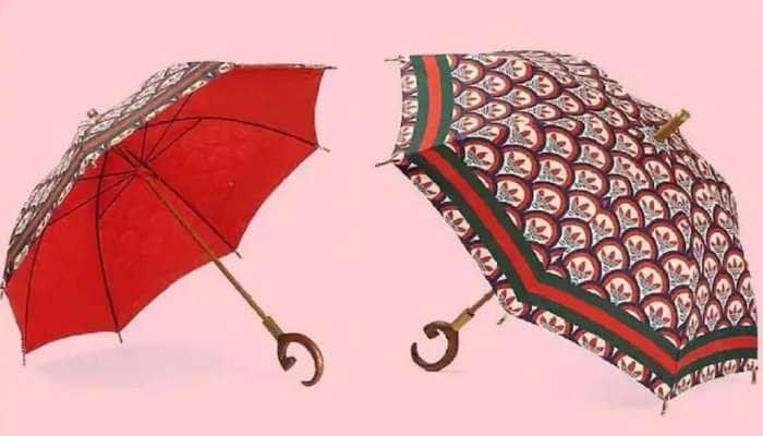 બજારમાં વેચાઈ રહેલી આ એક છત્રી સોશિયલ મીડિયા ટ્રેન્ડમાં, કિંમત જાણીને રહી જશો દંગ બજારમાં વેચાઈ રહેલી આ એક છત્રી સોશિયલ મીડિયા ટ્રેન્ડમાં, કિંમત જાણીને રહી જશો દંગ