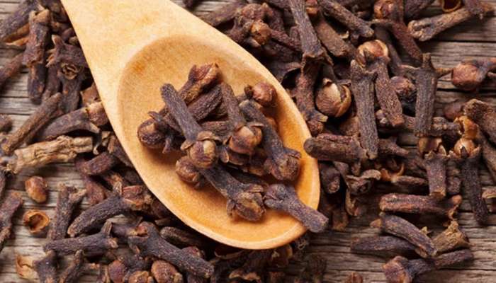 Benefits Of Cloves: પરણિત પુરૂષ આ સમયે ચાવી લે 3 લવિંગ, દૂર થશે આ મોટી સમસ્યા, ફાયદા ચોંકાવનારા Benefits Of Cloves: પરણિત પુરૂષ આ સમયે ચાવી લે 3 લવિંગ, દૂર થશે આ મોટી સમસ્યા, ફાયદા ચોંકાવનારા
