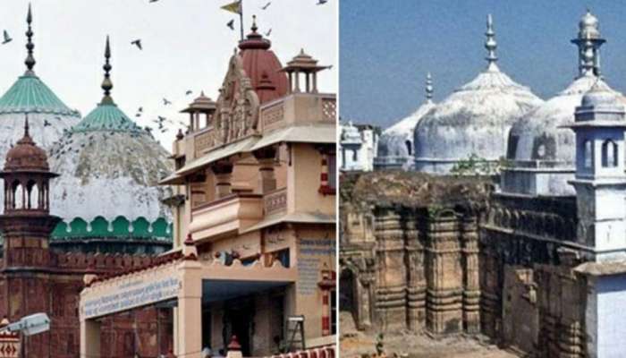 Gyanvapi Masjid Controversy: કાશી-મથુરાના મંદિરો પર જાણીતા ઈતિહાસકાર ઈરફાન હબીબનું મહત્વનું નિવેદન, જાણો શું કહ્યું?