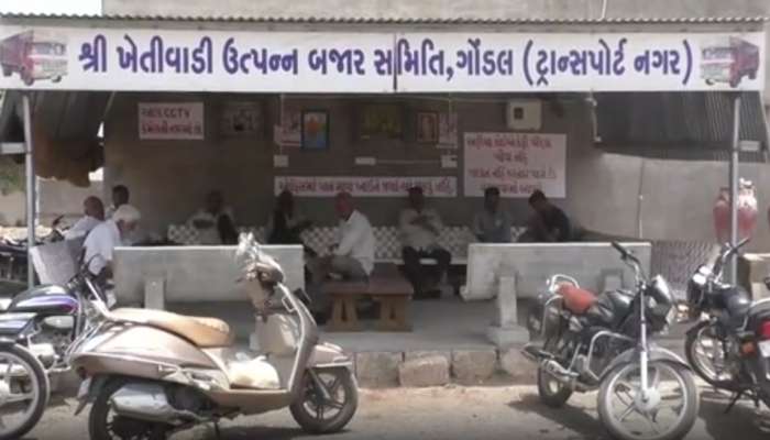 ગોંડલ માર્કેટિંગ યાર્ડનો નવતર પ્રયોગ, ટ્રાફિકની સમસ્યાથી છૂટકારો મેળવવા 20 વીઘામાં બનાવ્યું ટ્રાન્સપોર્ટ નગર
