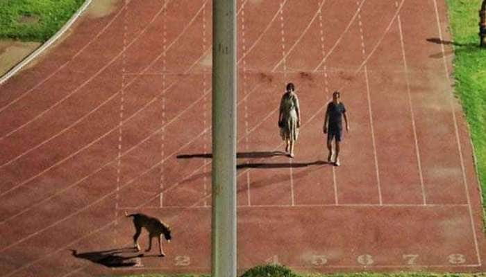 સ્ટેડિયમમાં કૂતરાને ફેરવવા માટે ખેલાડીઓની પ્રેક્ટિસ બંધ કરાવી, વિવાદોમાં ઘેરાયા IAS