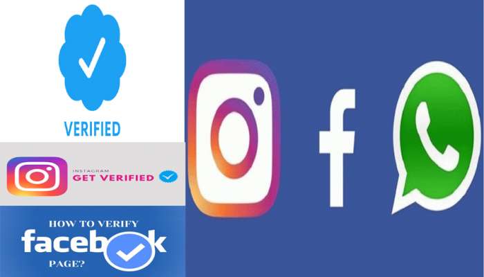 FB, Insta અને Twitter બધા પર જોઈએ છે બ્લૂ ટિક? આ રીતે વેરિફાઈ કરો સોશિયલ મીડિયા