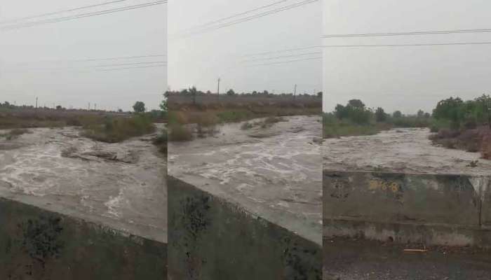 GUJARAT માં મેઘાડંબર બાદ અનેક જિલ્લાઓમાં વરસાદ, એક જ વરસાદમાં શેત્રુંજી નદીમાં પાણી