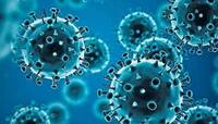 GUJARAT CORONA UPDATE: 143 કેસ, 51 દર્દી સાજા થયા, એક મોત