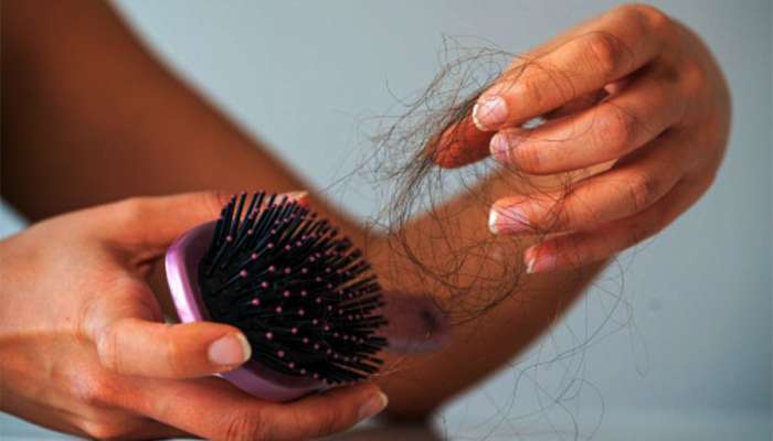 Hair Care Mistakes: વાળની સંભાળ રાખવામાં ક્યારેય ન કરો આ ભૂલ, નહીં તો બકરું કાઢતા પેસી જશે ઊંટ! Hair Care Mistakes: વાળની સંભાળ રાખવામાં ક્યારેય ન કરો આ ભૂલ, નહીં તો બકરું કાઢતા પેસી જશે ઊંટ!