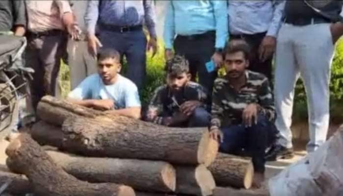 સાબરકાંઠા જિલ્લામાં પોલીસે ચંદનના વૃક્ષની ચોરી કરનાર પુષ્પા ગેંગના સભ્યો ઝડપાયા