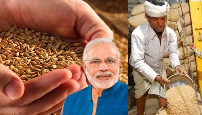 Free Ration Update: મોટો ઝટકો! રાશન કાર્ડ લાભાર્થીઓને નહીં મળે ફ્રી ઘઉં, સરકારે જાહેર કર્યા આદેશ