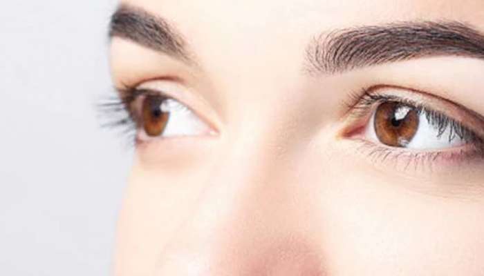 Eye Care Tips: આ ફૂડ્સનું ભૂલથી પણ ના કરો સેવન, આંખોની રોશની થઈ જશે ઓછી