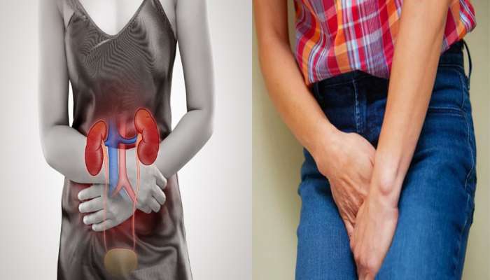 Urinary Diseases: શું તમારા પેશાબમાં પણ આવે છે ફીણ? આવા ચિહ્નો દેખાય તો તુરંત ચેતી જજો