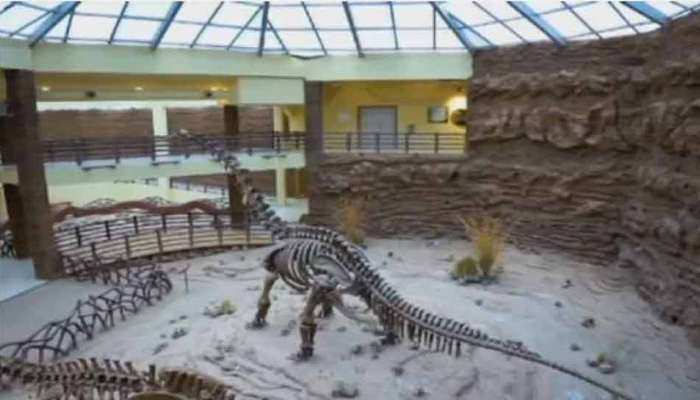 Jurassic World : ગુજરાતમાં ખુલ્લો મૂકાયો દેશના પહેલો અને વિશ્વનો ત્રીજો ફોસીલ પાર્ક, જ્યાં જોવા મળશે ડાયનાસોર