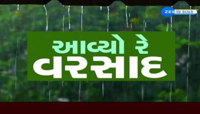 In Ahmedabad, more than 100 trees fell in just a few rains