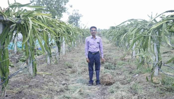 ડ્રેગન ફ્રુટની ખેતી કરી શ્રીકાંતભાઈ કરોડો કમાયા, આખા દેશમાં કરે છે વેપાર 
