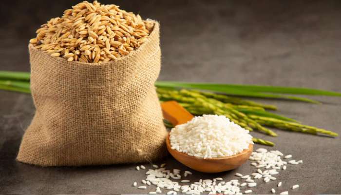 Free Ration: લોકો માટે સરકારની મોટી ભેટ, આ મહિના સુધી મળશે મફતમાં અનાજ