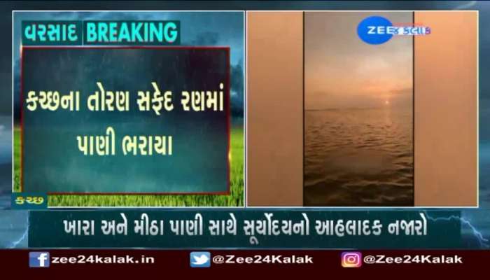 Heavy rains flooded the Toraf White Desert in Kutch, see video