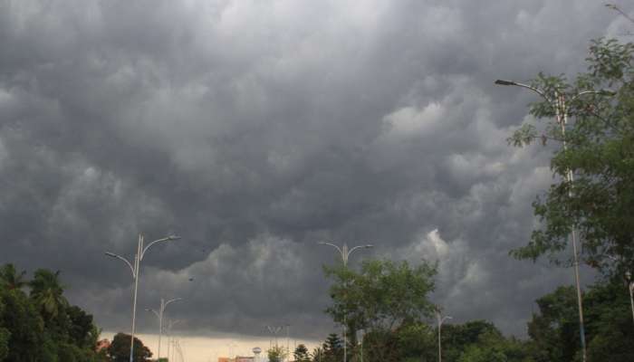 Gujarat Monsoon: ઉત્તર ગુજરાતીઓ માટે આજનો દિવસ આફત સમાન, ટોલ ફ્રી નંબર જાહેર