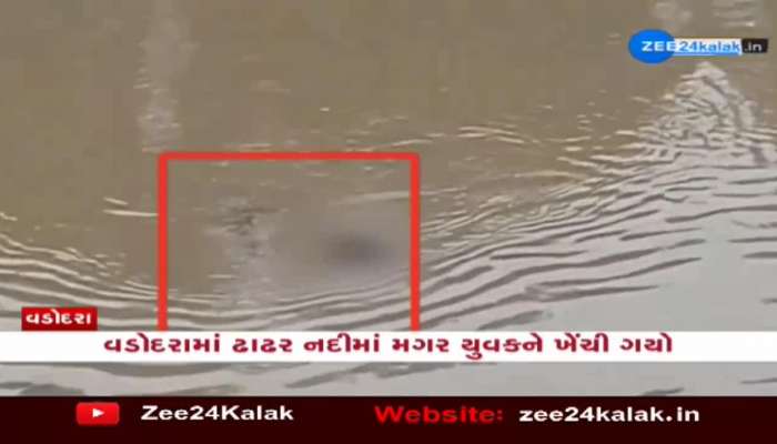 In Vadodara, a crocodile dragged a young man into Dhadhar river, the video of the young man went viral