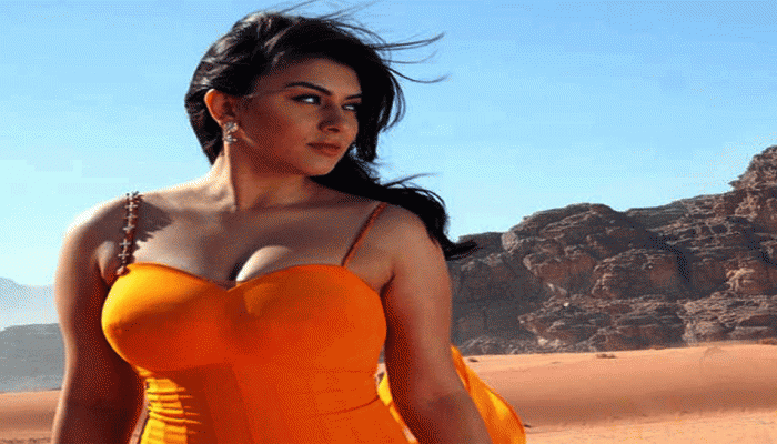 Hansika Motwani Wedding: લગ્નની તૈયારીઓ કરી રહી છે હંસિકા, જાણીતા રાજકારણીના પુત્ર સાથે ફરશે ફેરા