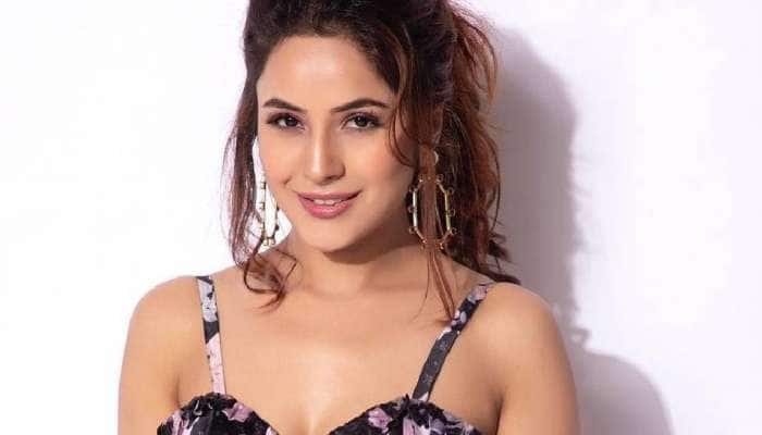 શહનાઝ ગિલને ફિલ્મના સેટ પર મળ્યો પોતાનો પ્રેમ, આ ટીવી હોસ્ટને કરી રહી છે ડેટ